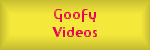 Goofy Videos